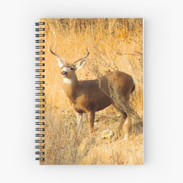 Item preview, Buck broadside designed and sold by TheManley.