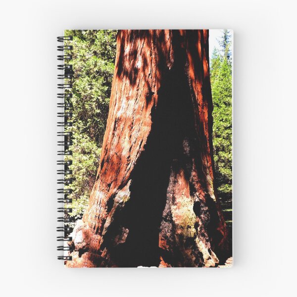 Item preview, Redwood Trunk designed and sold by TheManley.