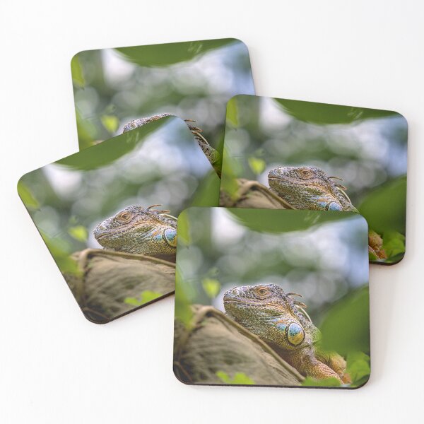 Item preview, iguana in the jungle designed and sold by thompsong03.