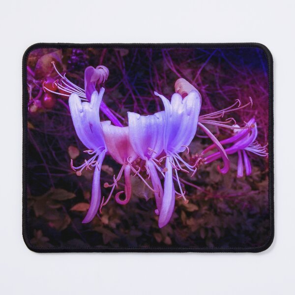 Item preview, Looking - A View designed and sold by Carl Gaynor.
