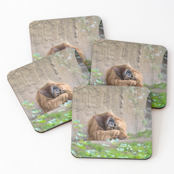 Item preview, Orangutan enjoys his banana designed and sold by thompsong03.