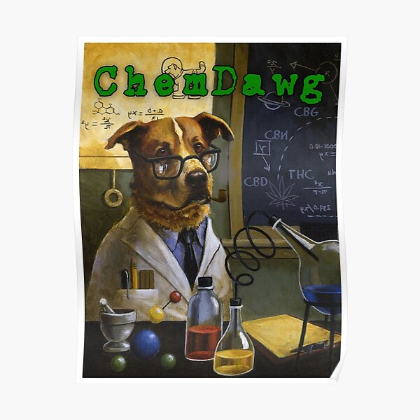 Chemischer Kumpel Poster