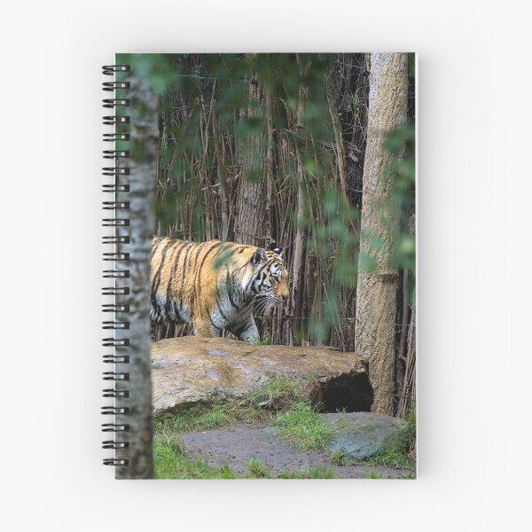Item preview, The tiger roams through the jungle designed and sold by thompsong03.