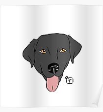 Black Lab Poster
