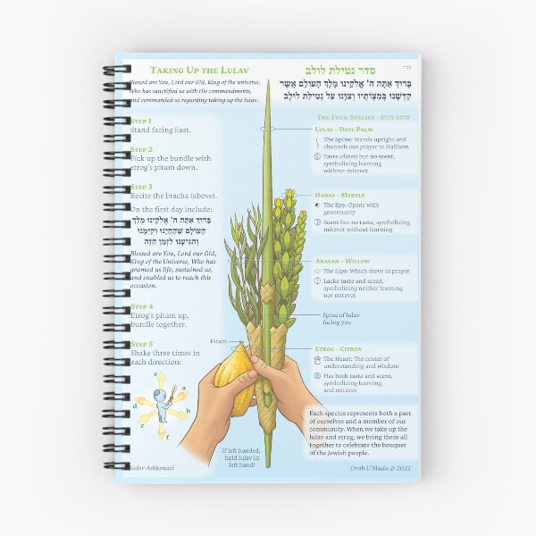 Item preview, How to Shake the Lulav (Ashkenazi) designed and sold by Orah-UMada.