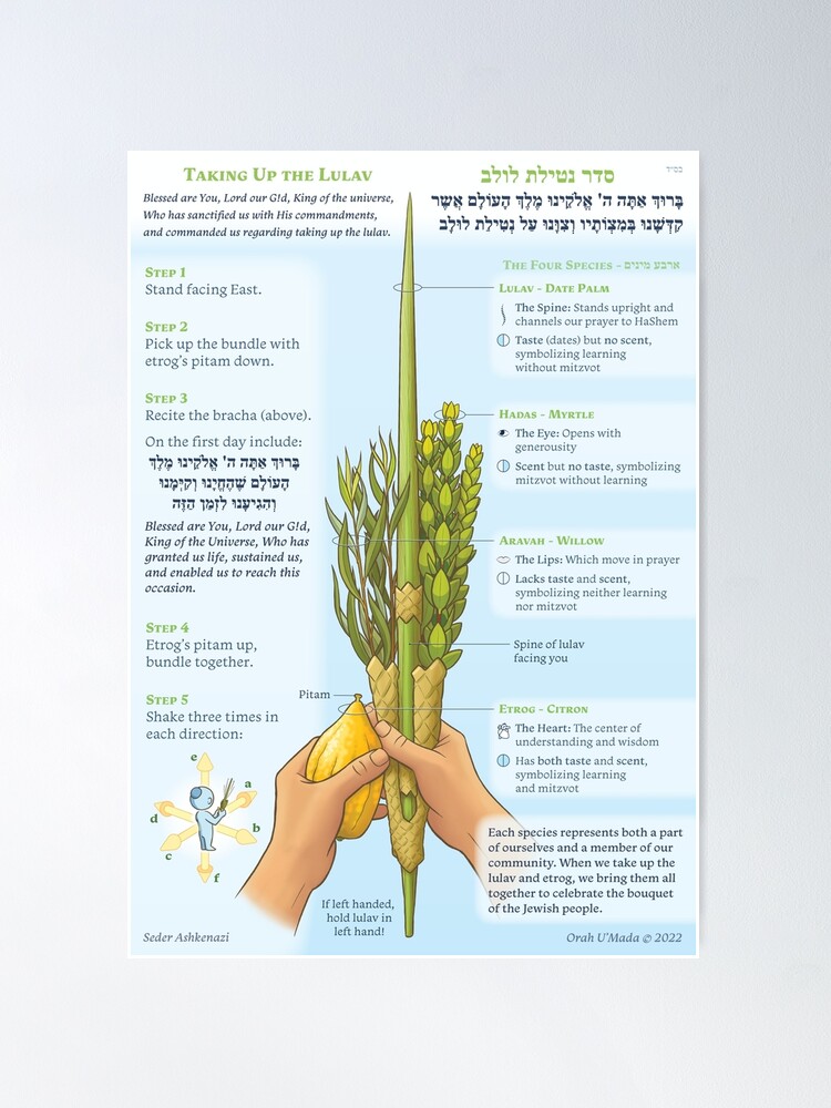 Har qanday porno video