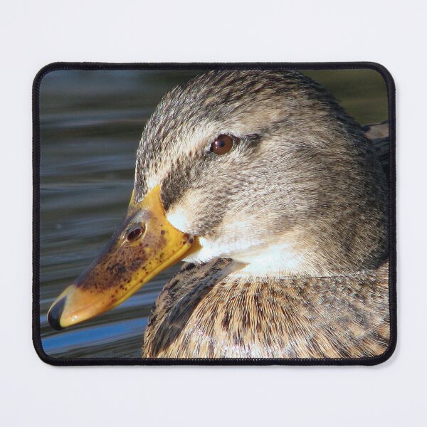 Item preview, UP close designed and sold by Sharon Perrett.