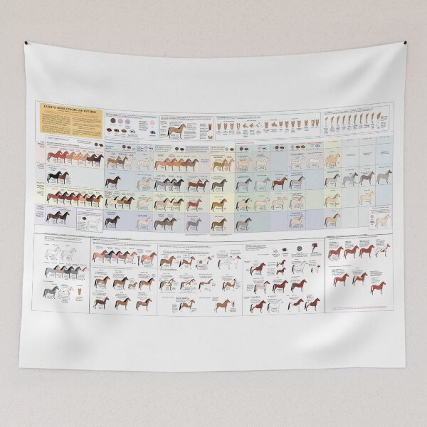 Item preview, Guide to Horse Colors and Patterns designed and sold by Cedarseed.