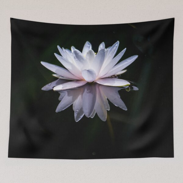 Item preview, Isolated Water Lily With Reflection designed and sold by Shelly Gunderson.