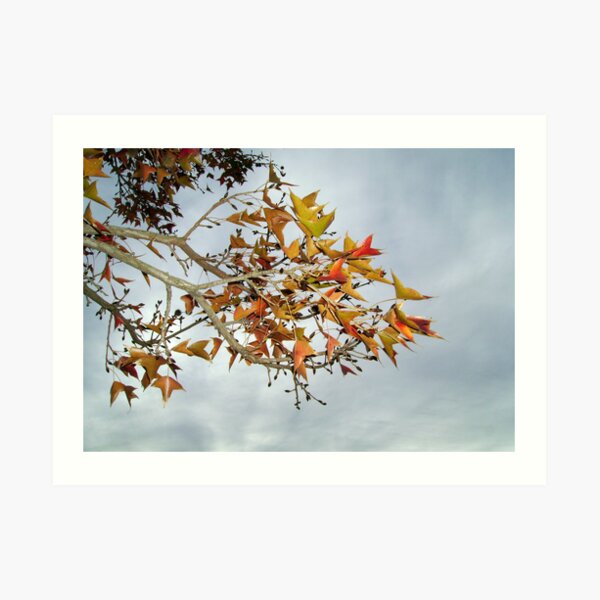 Remnants Of Autumn Art Print