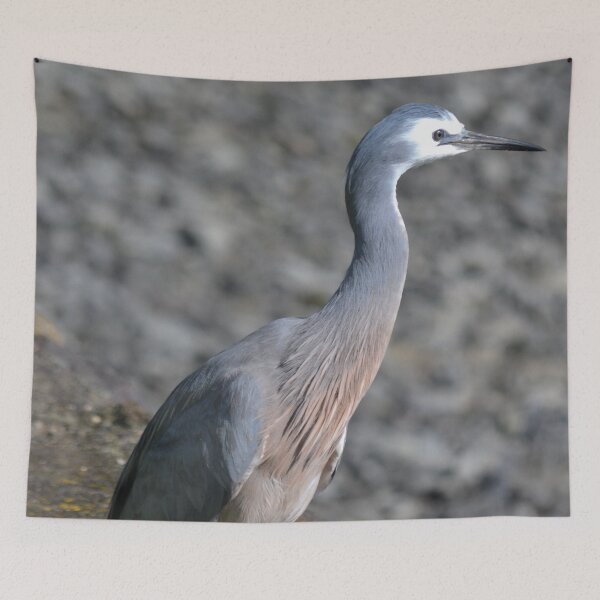 Item preview, Heron on the sea wall designed and sold by lizdomett.