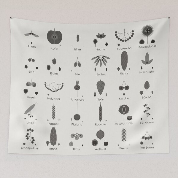 Item preview, Native Tree Fruits, Nuts and Cones Chart / Infographic (German) designed and sold by Iris Luckhaus.