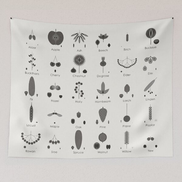 Item preview, Tree Fruits, Nuts, Cones and Seeds Identification ID Chart (English) designed and sold by Iris Luckhaus.