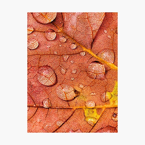 emptiness is the central path (3:4) Photographic Print
