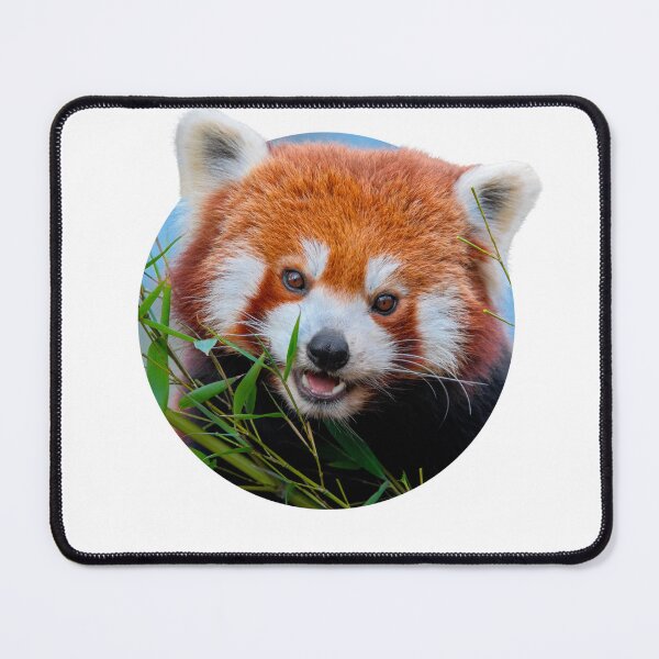 Item preview, Red panda designed and sold by Sneh Universe.