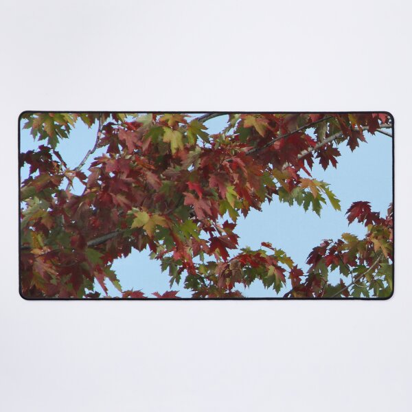 Item preview, Maple Leaves in September designed and sold by heatherfriedman.