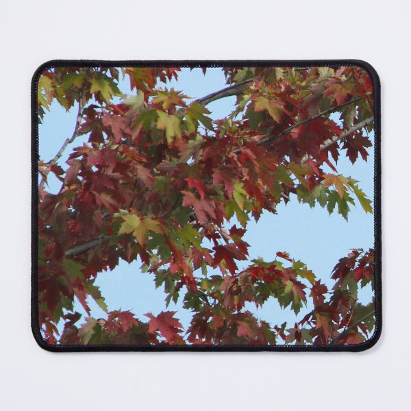 Item preview, Maple Leaves in September designed and sold by heatherfriedman.