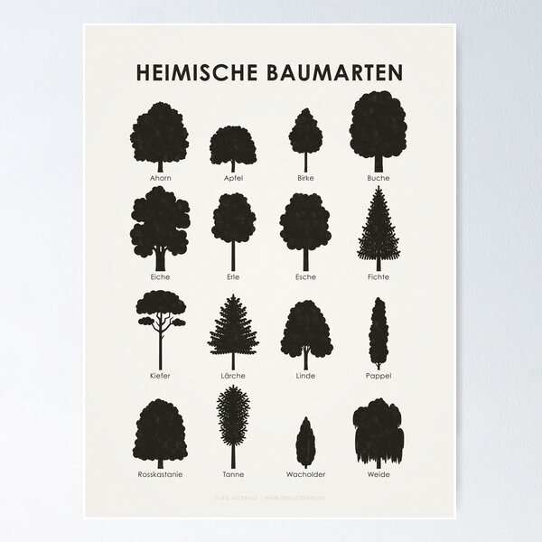 Item preview, Native tree species, tree silhouettes or species chart / infographic (German) designed and sold by Iris Luckhaus.