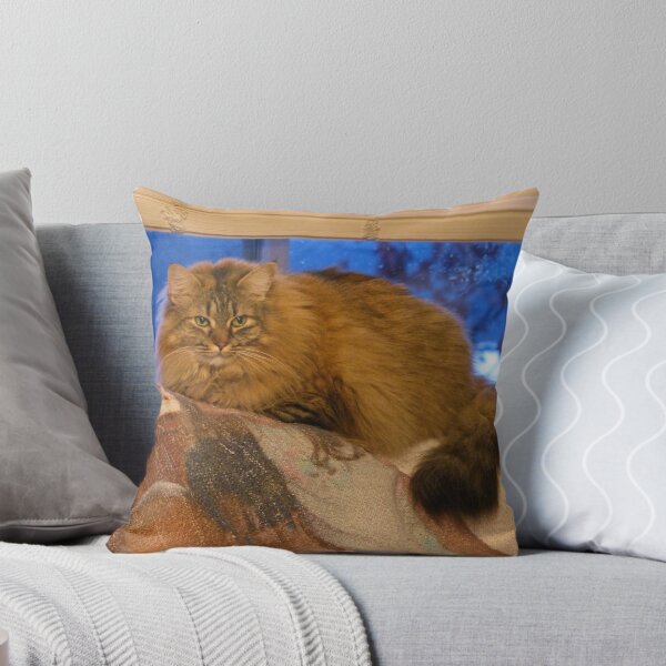 Item preview, Miss Tootles designed and sold by Frankie Cat Photography.