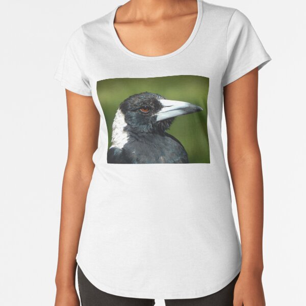 Stripey the Magpie Premium Scoop T-Shirt