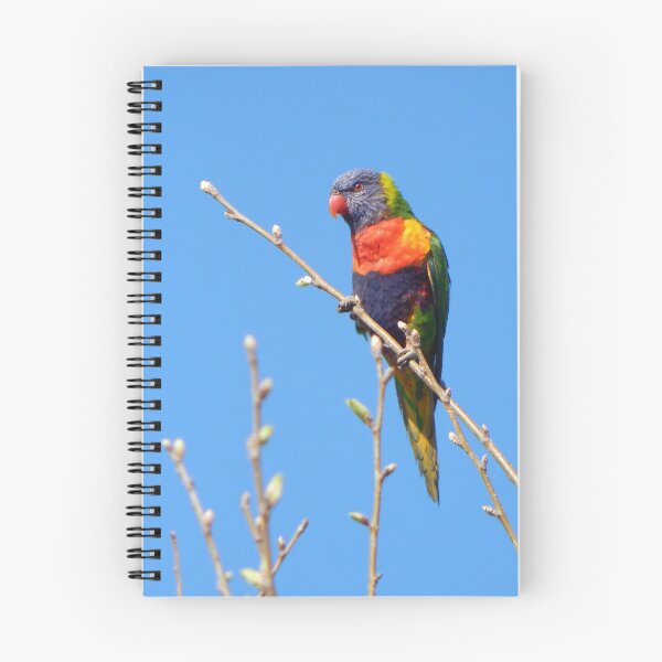 Item preview, Rainbow Lorikeet designed and sold by Jane Izzy Designs.