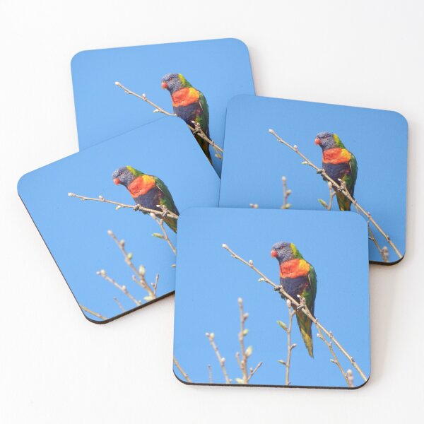 Item preview, Rainbow Lorikeet designed and sold by Jane Izzy Designs.