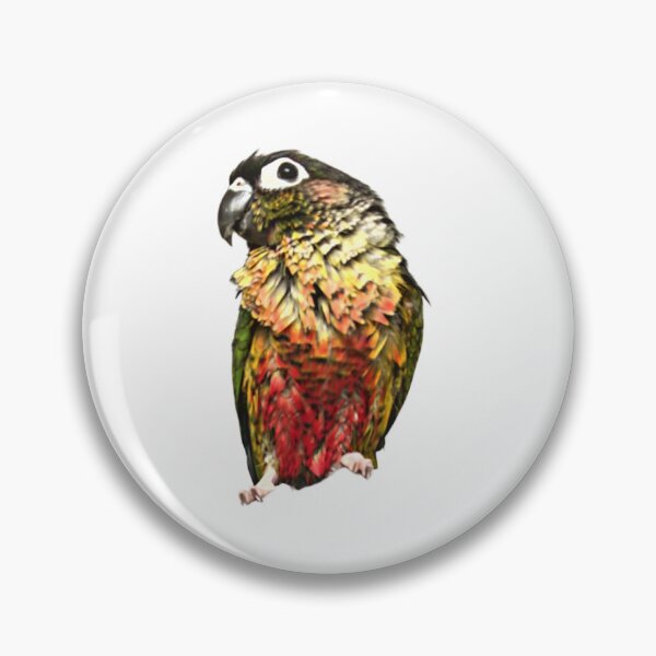 Item preview, Pet Green Cheek Conure | Bathed Conure | Wet Small Parrot | Wet Parakeet | Parrot lover designed and sold by TatianaLG.