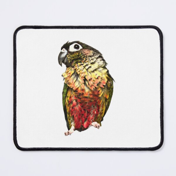 Item preview, Pet Green Cheek Conure | Bathed Conure | Wet Small Parrot | Wet Parakeet | Parrot lover designed and sold by TatianaLG.