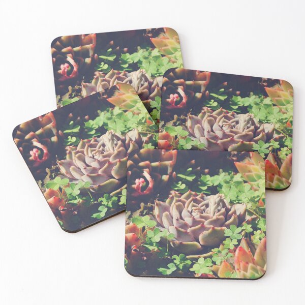 Item preview, Pretty Color Palette in Echeveria Succulents Botanical Garden designed and sold by CarolinaReina.