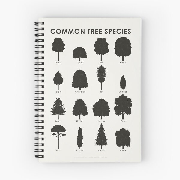 Item preview, Common Tree Shapes or Species Identification ID Chart designed and sold by Iris Luckhaus.