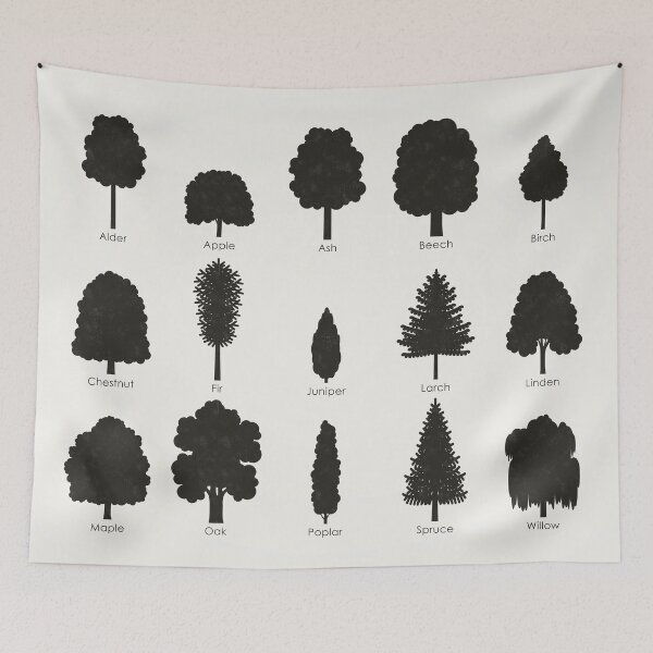 Item preview, Common Tree Shapes or Species Identification ID Chart designed and sold by Iris Luckhaus.