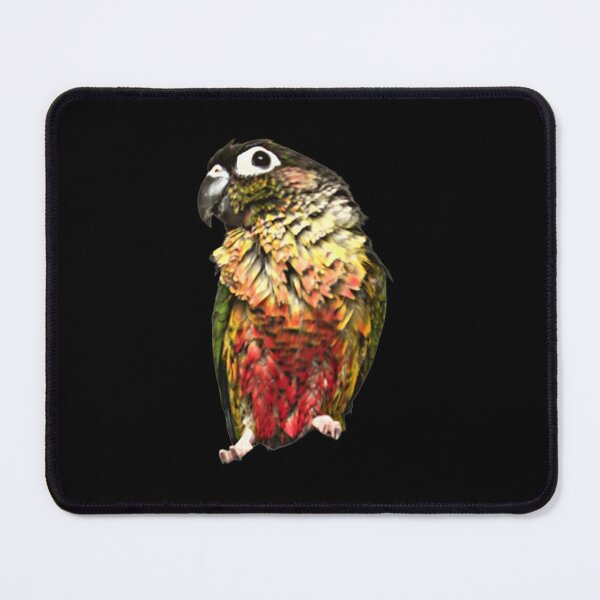 Item preview, Pet Green Cheek Conure | Bathed Conure | Wet Small Parrot | Wet Parakeet | Parrot lover designed and sold by TatianaLG.