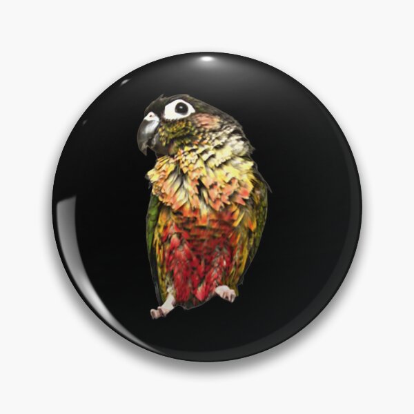 Item preview, Pet Green Cheek Conure | Bathed Conure | Wet Small Parrot | Wet Parakeet | Parrot lover designed and sold by TatianaLG.