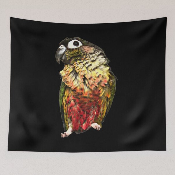 Item preview, Pet Green Cheek Conure | Bathed Conure | Wet Small Parrot | Wet Parakeet | Parrot lover designed and sold by TatianaLG.