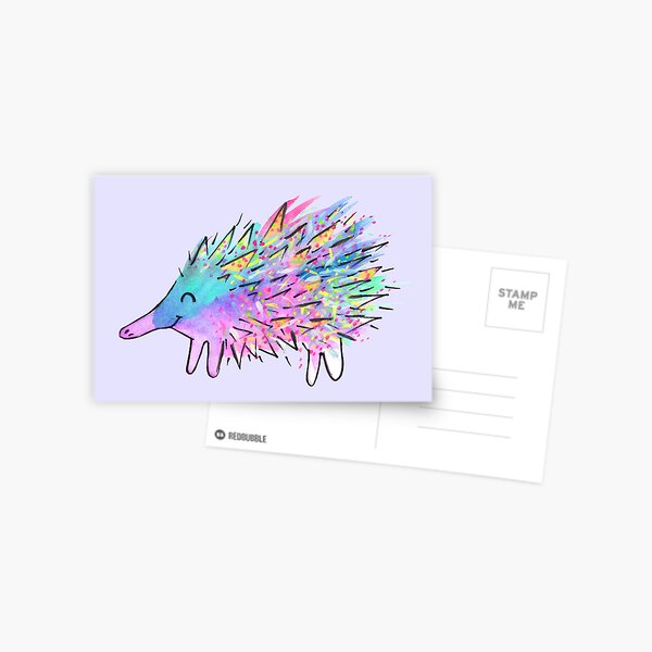 Echidna - Echid You Not Postcard