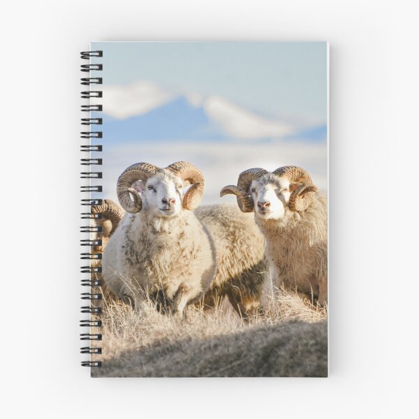 Item preview, Sheep in the golden hour designed and sold by Jessinia Wallach.