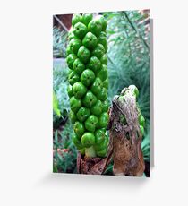 Seriously... Greeting Card