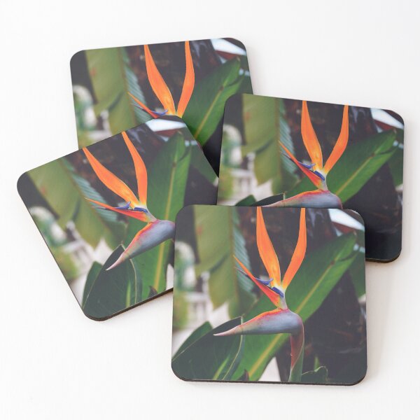 Item preview, Colorful Crane Flower in Tropical Garden - Nature Close Up Photography designed and sold by CarolinaReina.