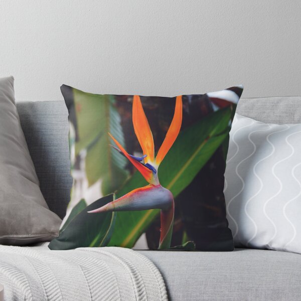 Item preview, Colorful Crane Flower in Tropical Garden - Nature Close Up Photography designed and sold by CarolinaReina.