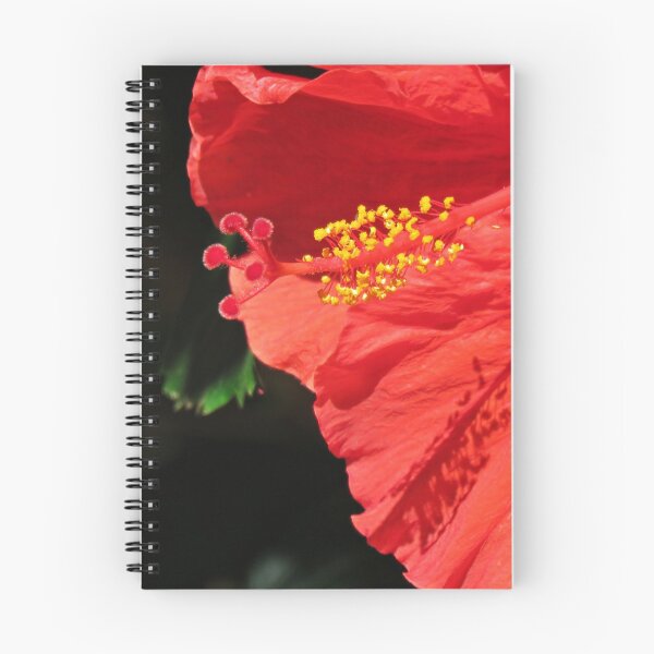 Item preview, Hibiscus shadow designed and sold by BiodiversityRocks.