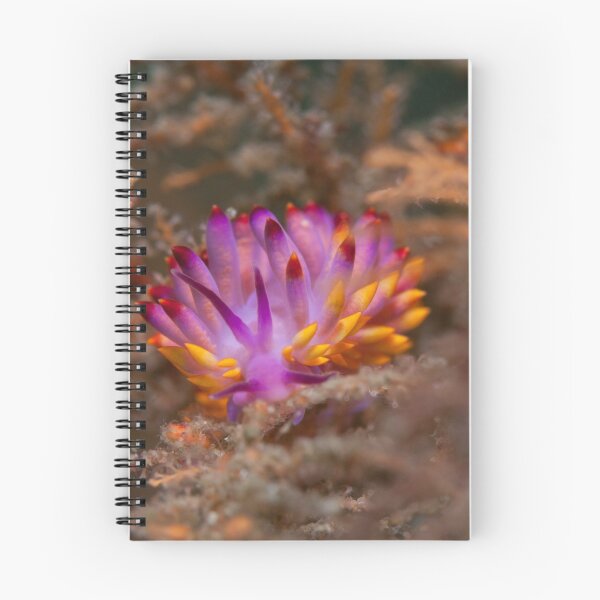 Item preview, Pretty in pink designed and sold by Deb Aston.