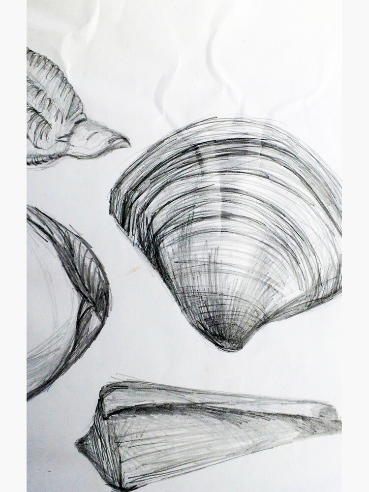 Sea Shells 4 by Margo Humphries by kasarnDesigns