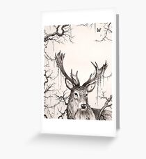 Within The Sleeping Forest Greeting Card