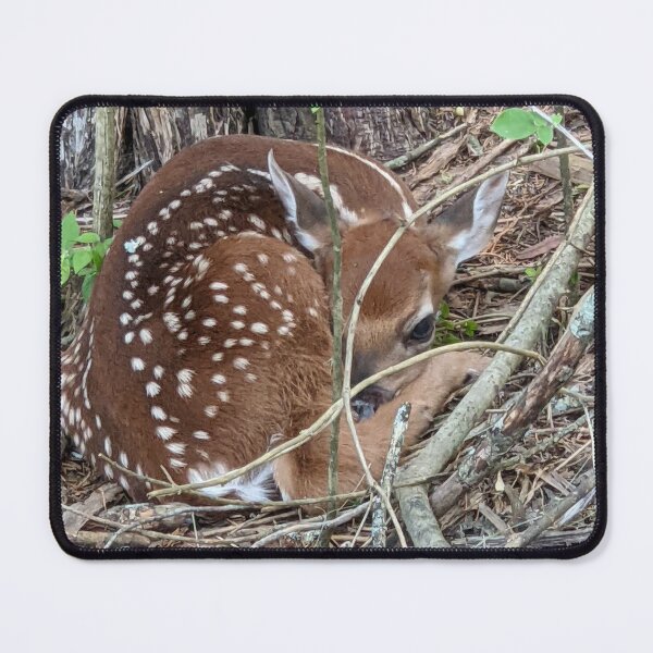 Item preview, Baby Deer designed and sold by AustaArt.