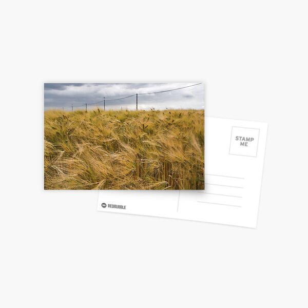 Stormy skies Postcard