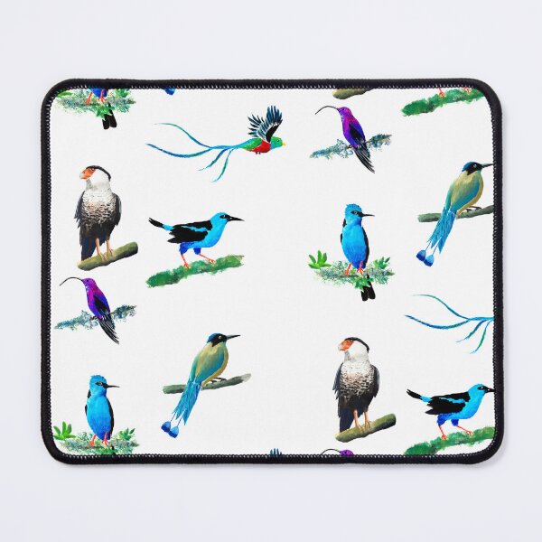 Item preview, Quetzal Hummingbird Honeycreeper Motmot Caracara designed and sold by julyperson.