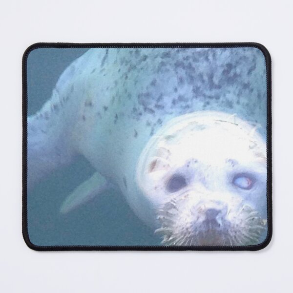 Item preview, Selkie seal sayin’ hello… fun designed and sold by drumweaver.