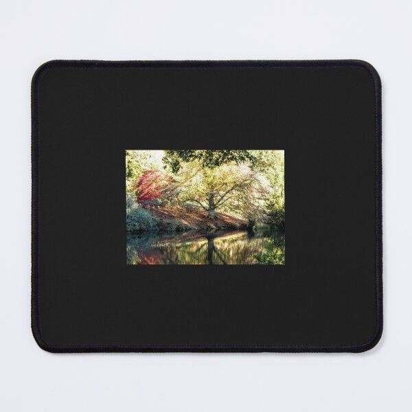 Item preview, Autumn Reflections at Stourhead designed and sold by wumplekin.