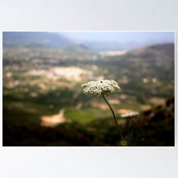 Item preview, Flower of the Hill designed and sold by Adam Devine.