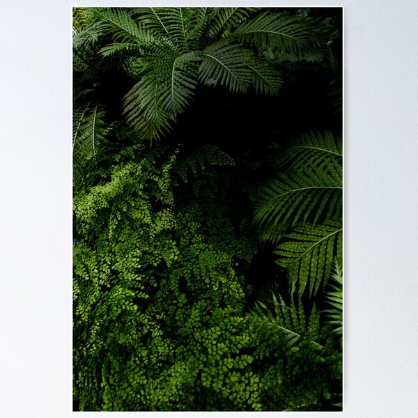 Item preview, Tropical Jungle designed and sold by VanGalt.